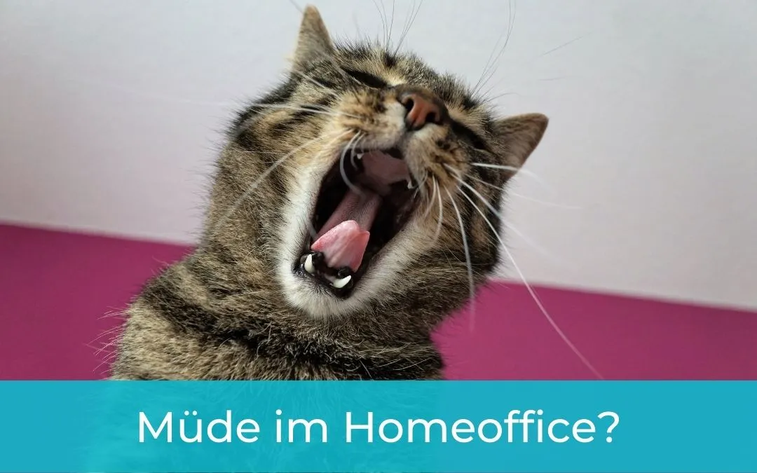 Müde vom Homeoffice? Müde vom Homeoffice?